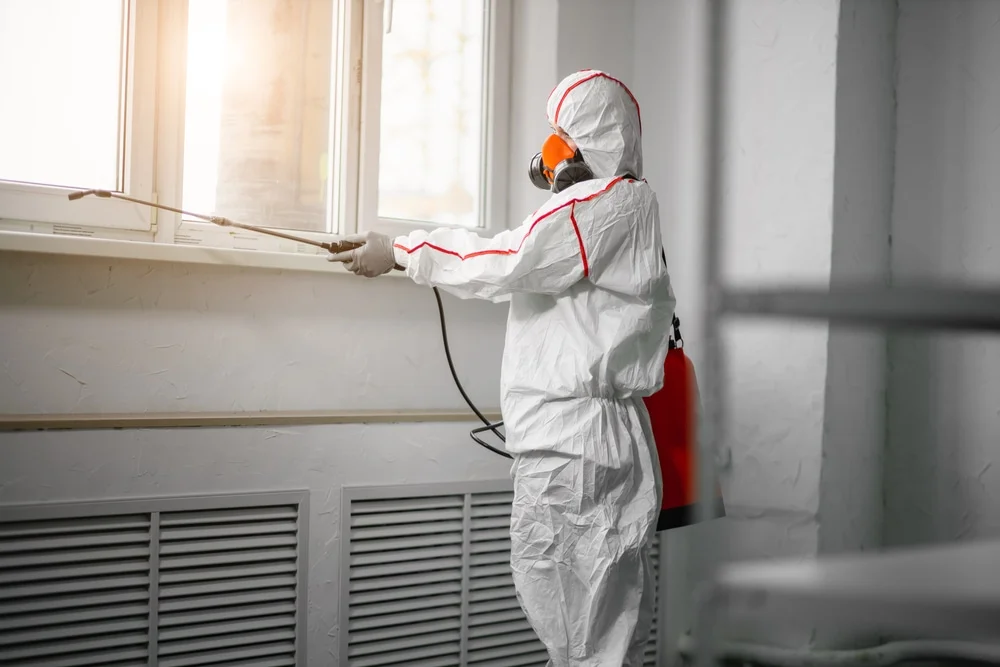 Professional mold remediation services in Mercer Island, WA